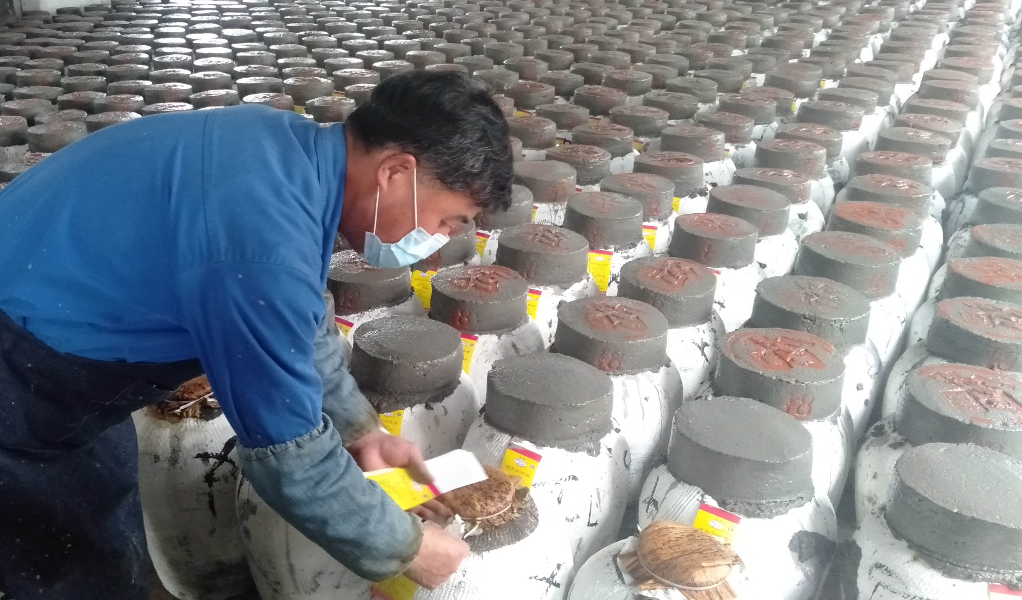 1584430577874414.jpg 1.jpg